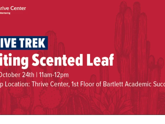 Thrive Trek: Visiting Scented Leaf