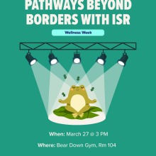 ISR Pathways Beyond Borders
