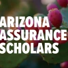 Photo of prickly pear with fruit on it and text that says "Arizona Assurance Scholars."